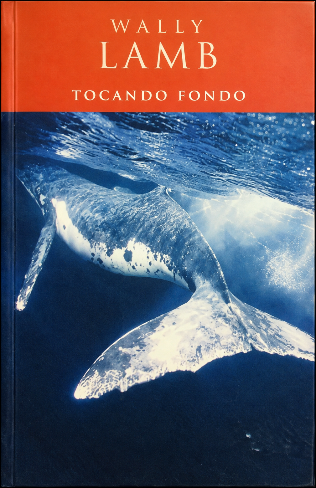 WALLY LAMB - TOCANDO FONDO