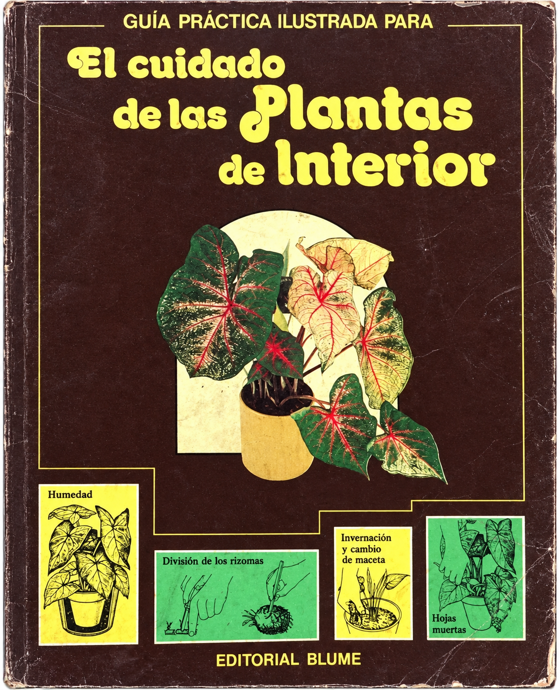 ED. BLUME - EL CUIDADO DE LAS PLANTAS DE INTERIOR