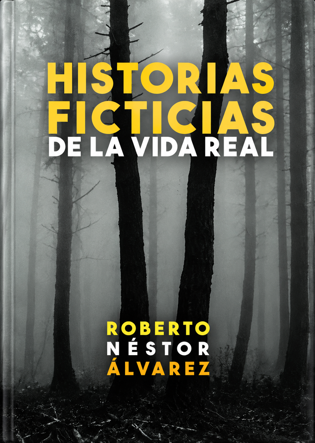 ROBERTO NESTOR ALVAREZ - HISTORIAS FICTICIAS DE LA VIDA REAL